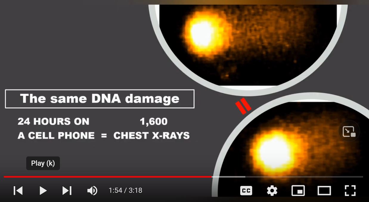 Reflex Study- DNA Damage of Cell Phone vs X-RAYs