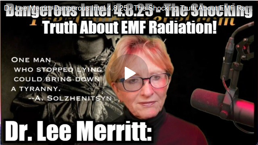 Dangerous Dames Show w Dr Lee Merrit (The Medical Rebel) & Courtenay Turner 2025